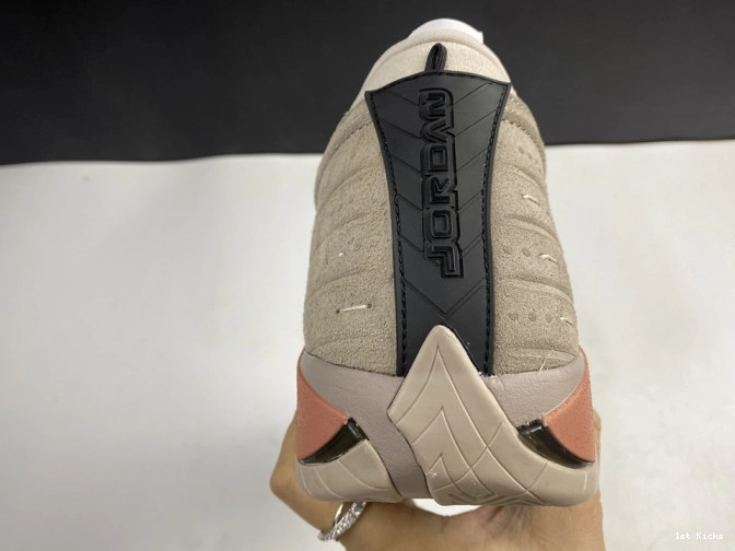 Jordan AIR Clot 14 Terra Retro DC9857-200 Blush Low 0730